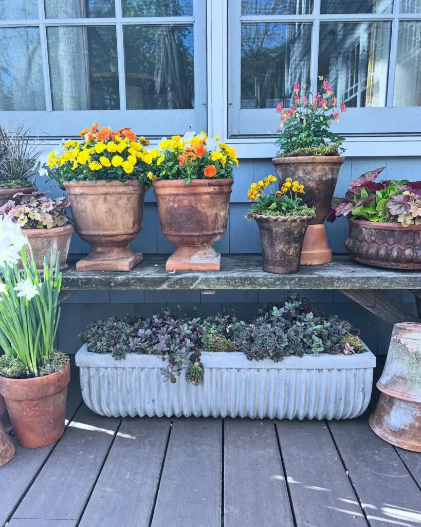 Outdoor Planter Ideas