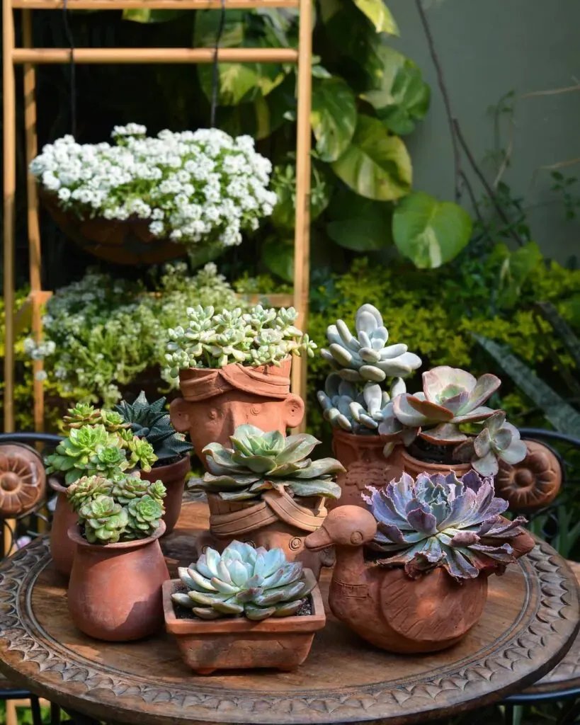 Outdoor Planter Ideas