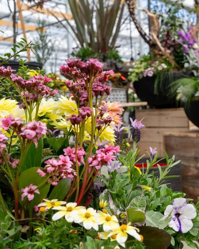 Flower Pot Gazebo Cover Ideas