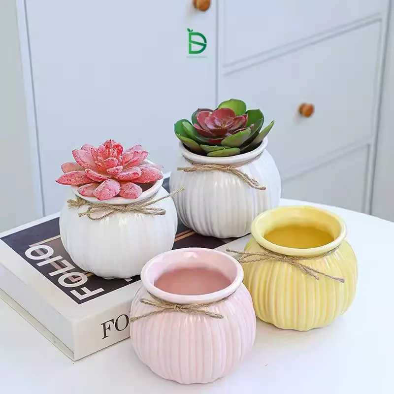 Flower Pot Ideas