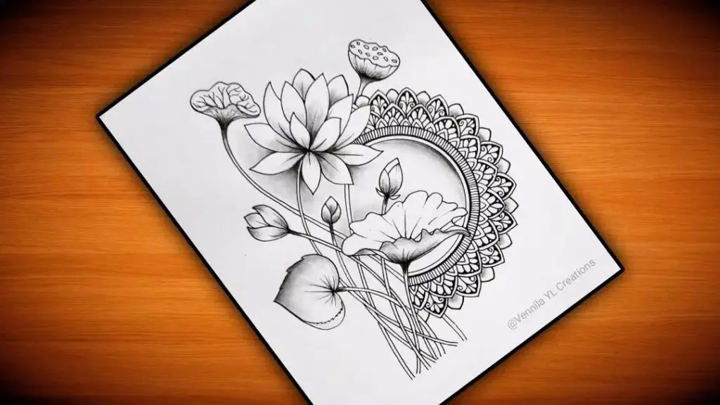 Flower Drawing Ideas
