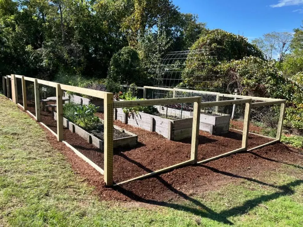 Bunny Fence Ideas