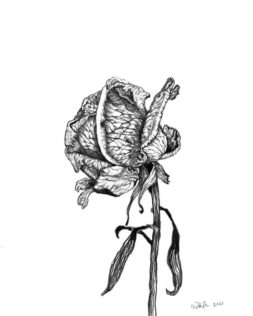 Flower Drawing Ideas