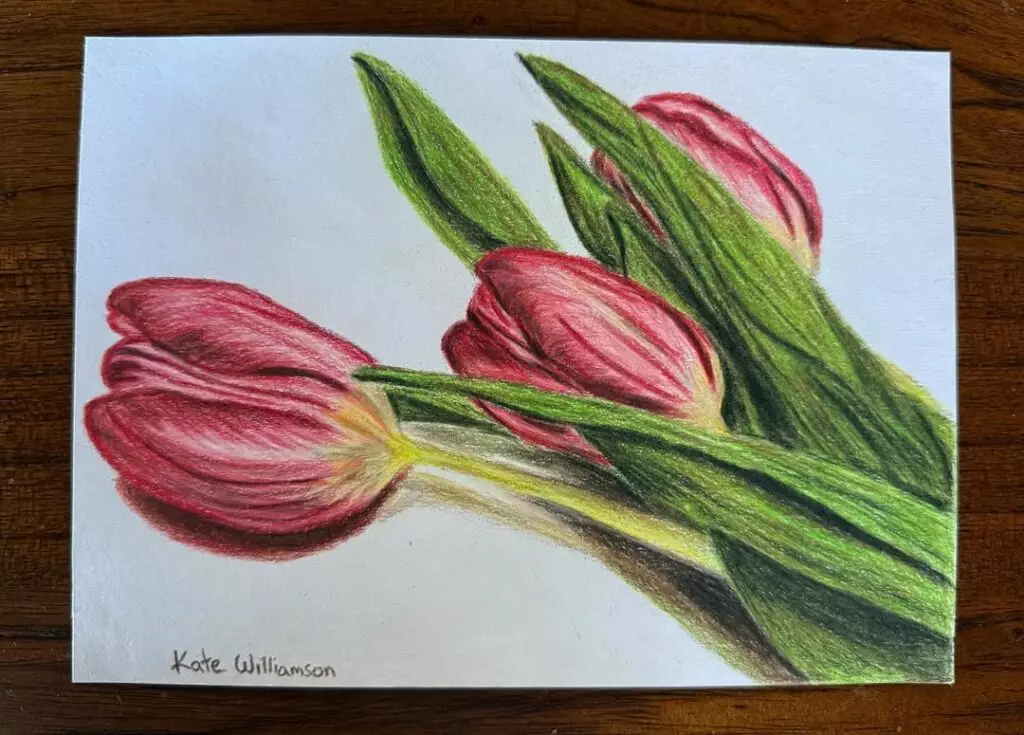 Flower Drawing Ideas