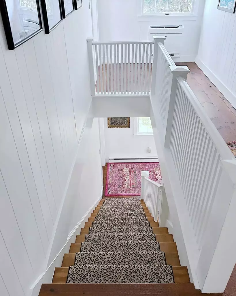 Stair Carpet Ideas