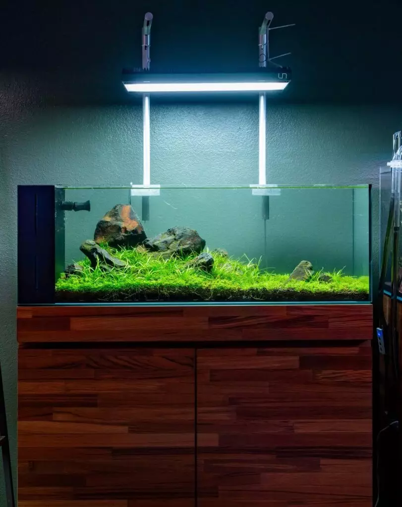 Terrapin tank Ideas
