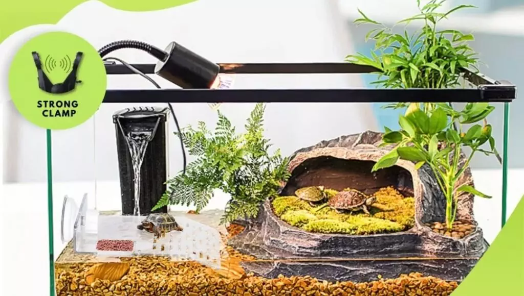 Terrapin tank Ideas