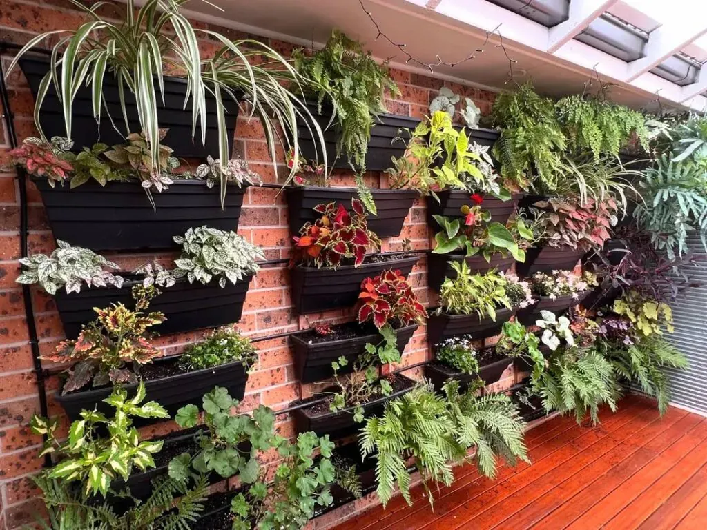 Indoor Garden Ideas