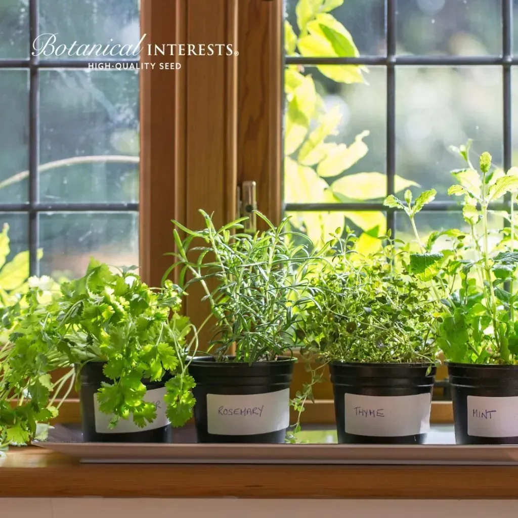 Indoor Garden Ideas